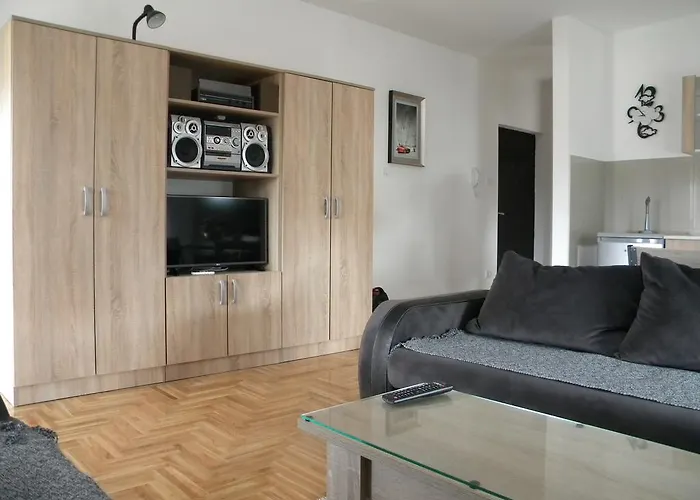 Srebrni Oblak Appartamento Arandjelovac